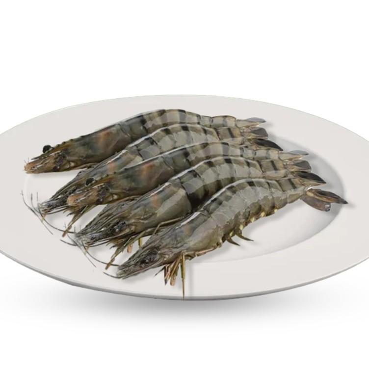 Shrimps